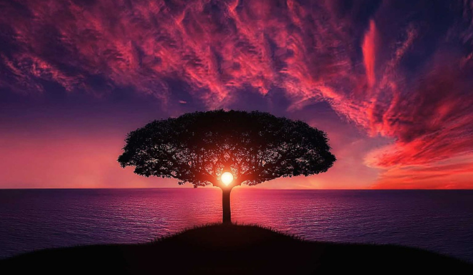 Start Where You Are: Harness Your Inner Strength